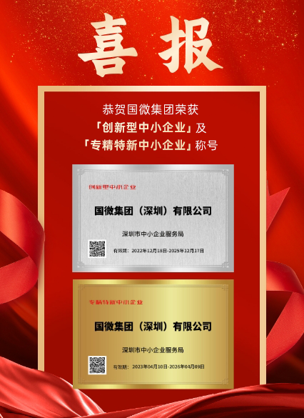 VSport-胜利集团（深圳）有限公司被深圳市中小企业服务局认证为「创新型中小企业」及「专精特新中小企业」。此次认证是对我司在科研创新、成果转化、产业链协同发展等诸多方面的高度认可！